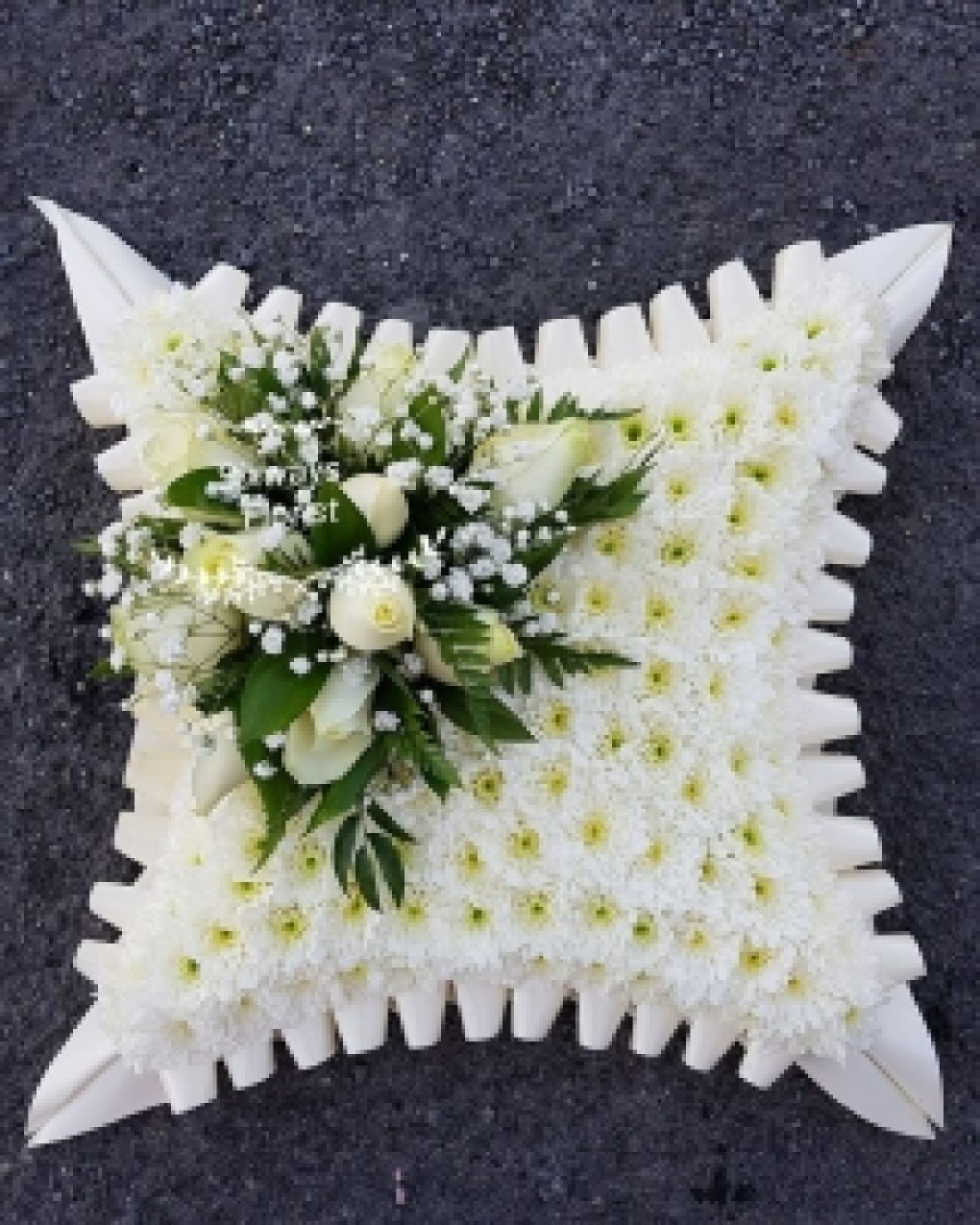 Neutral Cushion (medium)