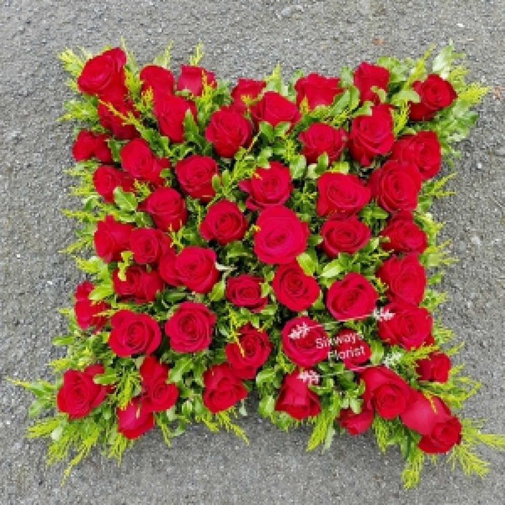 red rose cushion